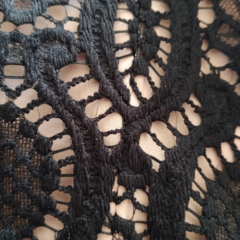 Adrianna Papell Black Lace Sheath Cocktail Dress With Neutral Lining. 14 - Picture 4 of 14